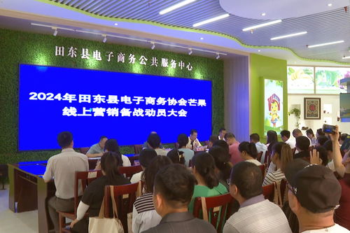 搭乘電商快車(chē)，田東芒果香飄萬(wàn)里